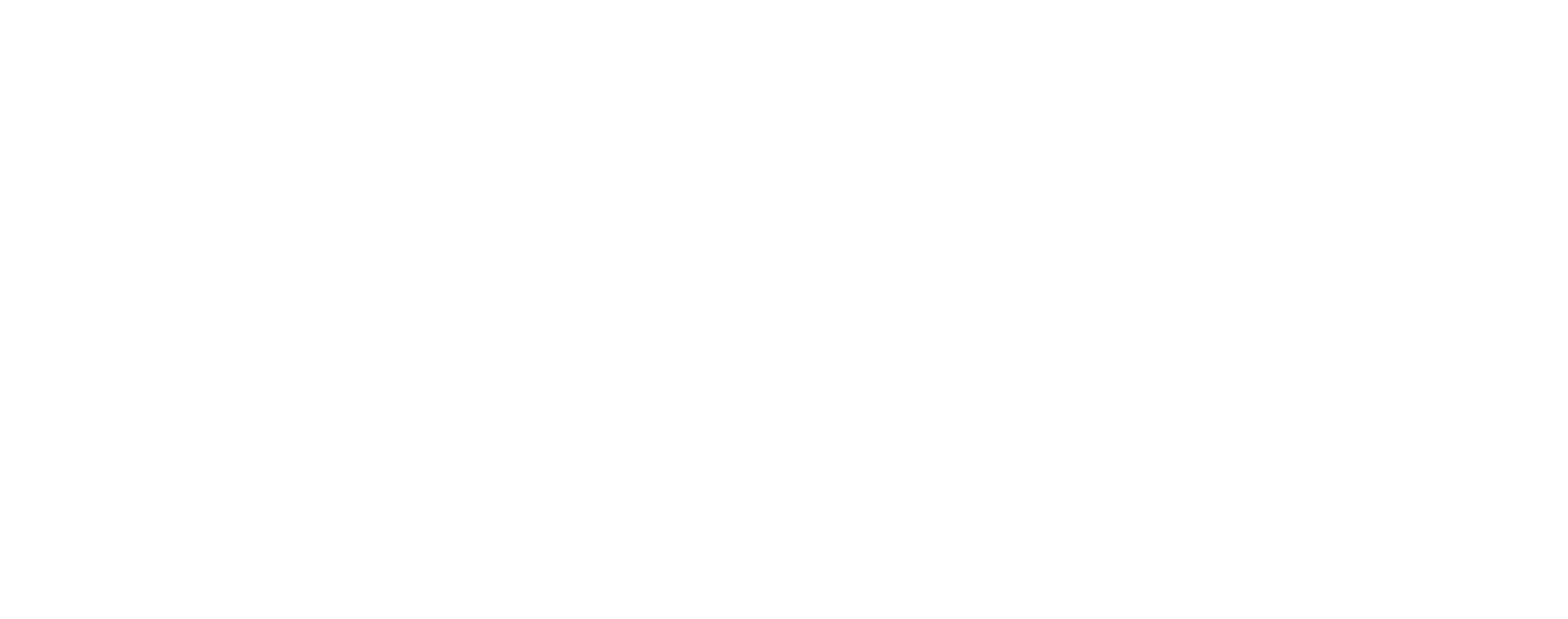 EMS Kontrol